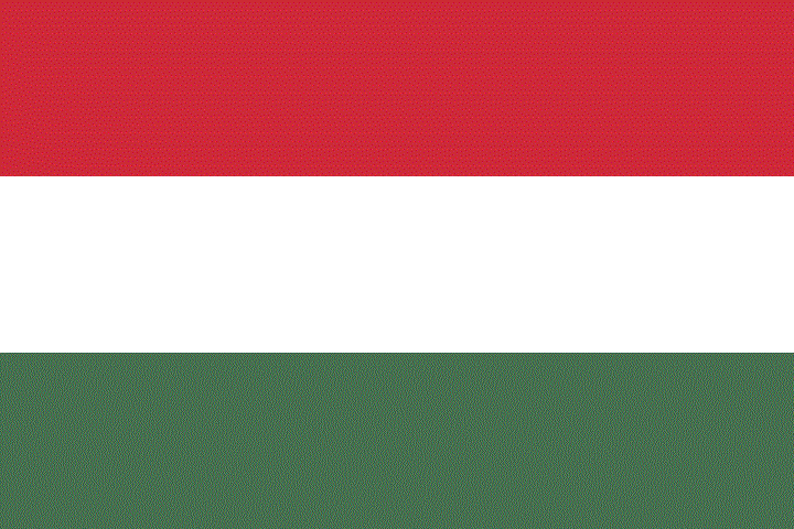Hungarian Flag